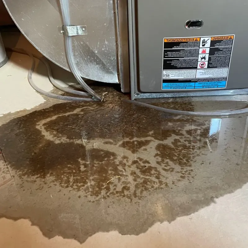 Pipe Burst and Leak Restoration in Kaysville, UT